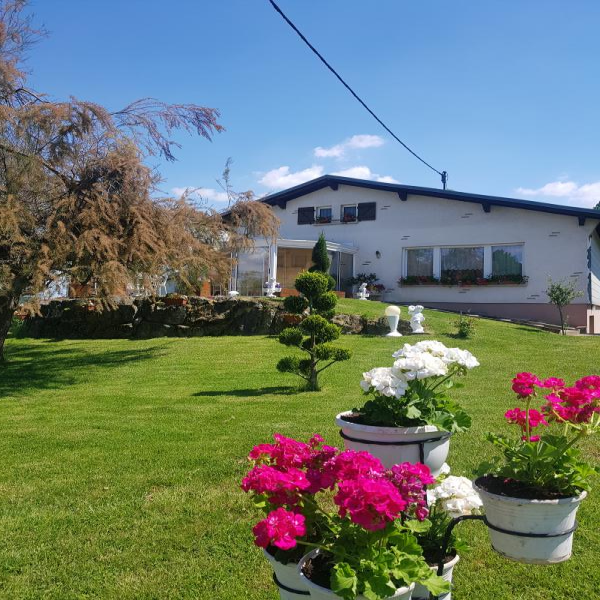 Offres de vente Viager Masevaux 68290