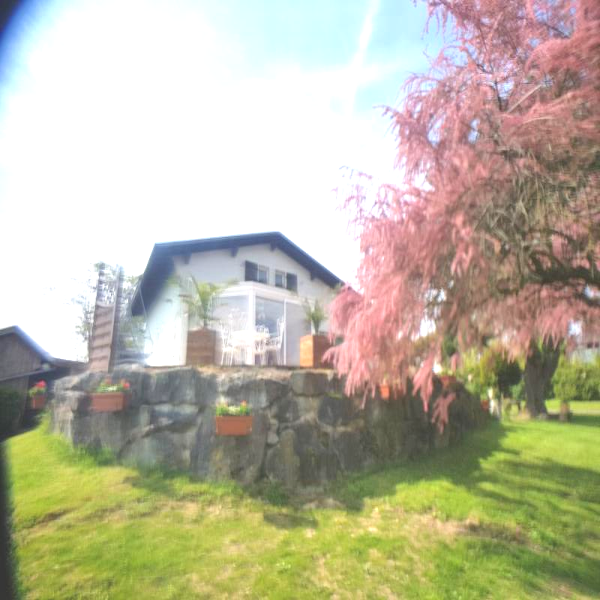 Offres de vente Viager Masevaux 68290